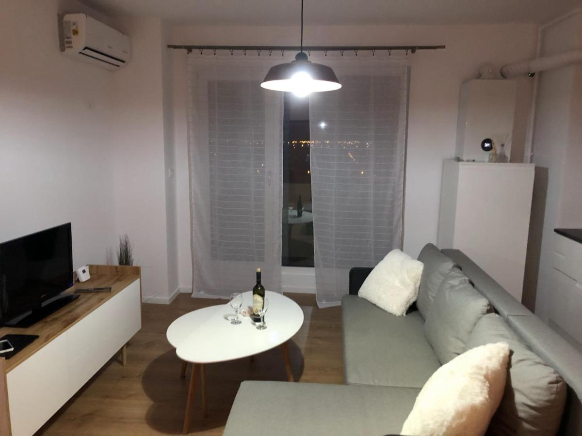 Chronos Apartment - Modern And Stylish Тимишоара Екстериор снимка